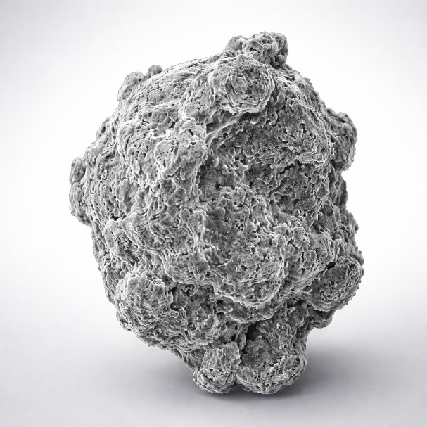 Water Atomised Powders